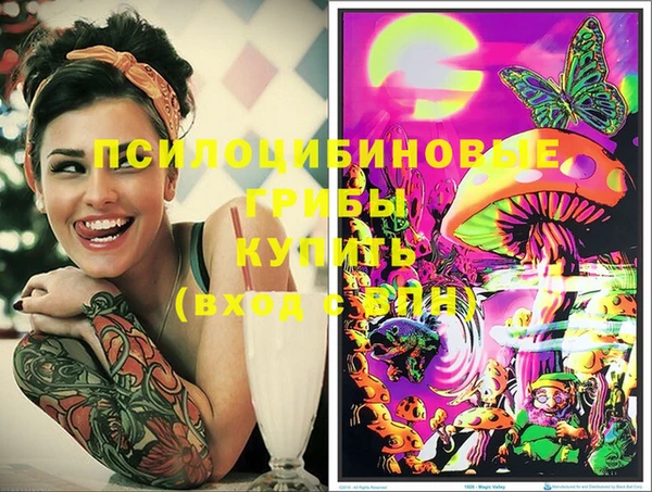 спиды Новозыбков
