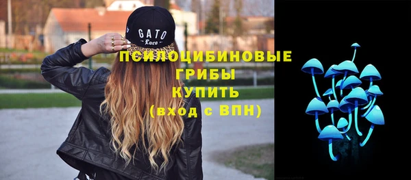 PSILOCYBIN Нязепетровск