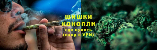 амф Новокубанск