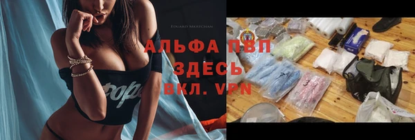 амф Новокубанск