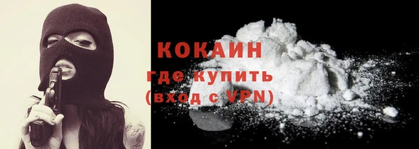 спиды Новозыбков
