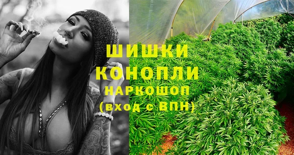 спиды Новозыбков