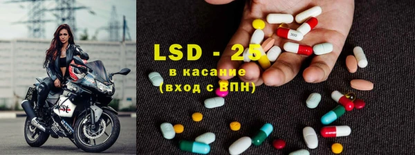 PSILOCYBIN Нязепетровск